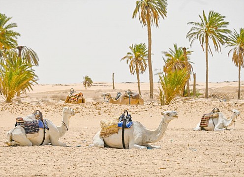 Kombinovaný pobyt v Tunisku 4*- Djerba, Sahara, pevnina