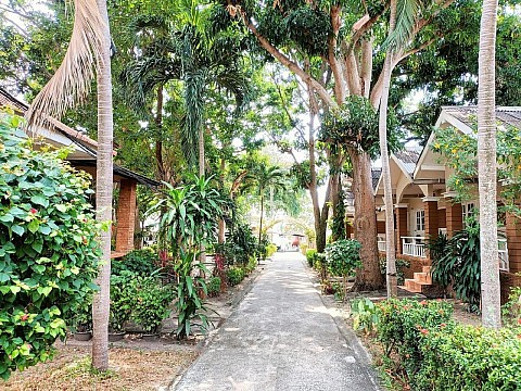 Malibu Garden Resort - Bangkok Palace Hotel (4)
