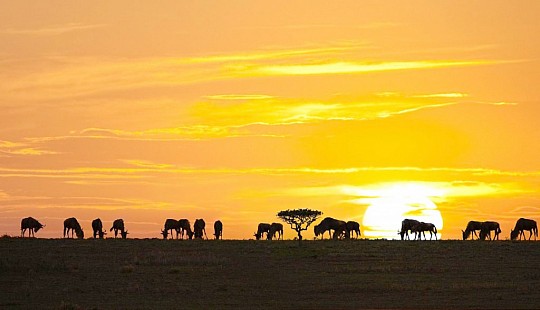 Tanzánie - safari v srdci divočiny (6)