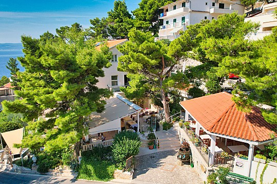 Petra vila se stravou (4)