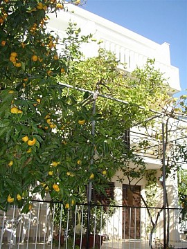 Jele vila