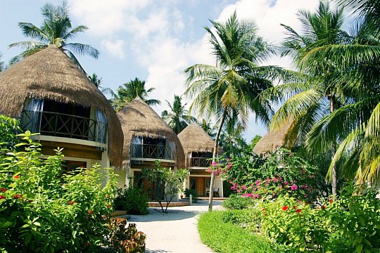Bandos Island Resort (5)