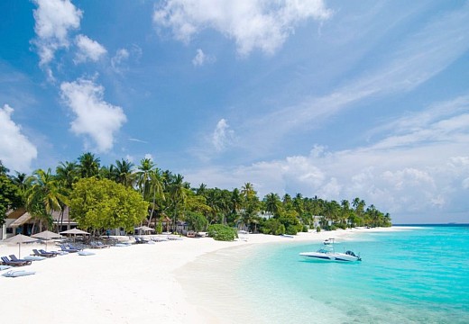 Amilla Maldives Resort and Residences (4)