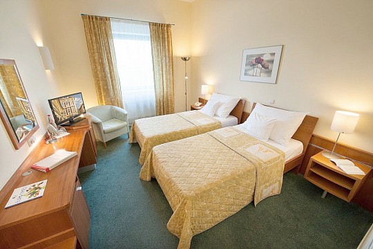 Ramada Airport Hotel Prague (5)