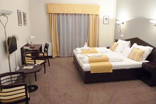Hotel Studánka (4)