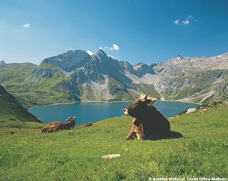 Za krásami Tyrolska a Vorarlberska s návštěvou Švýcarska (4)
