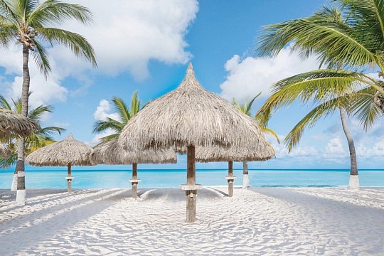 Holiday Inn Resort Aruba (4)