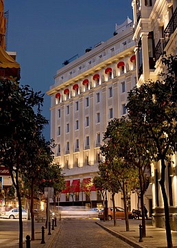 Hotel Gran Melia Colon