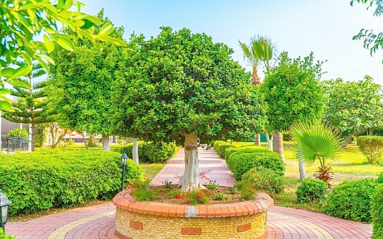 Hotel Clover Magic Park Beach Alanya (4)
