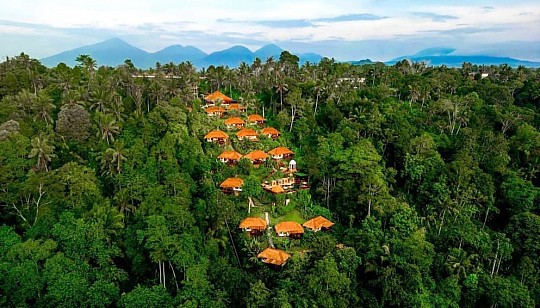Hotel Nandini Jungle by Hanging Gardens