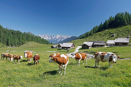 Hotel Gut Raunerhof (3)