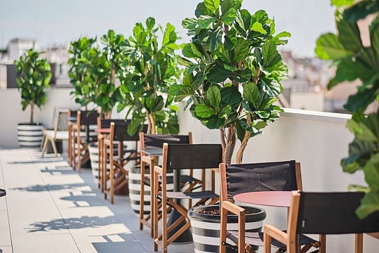 Hotel Estimar Valencia (4)