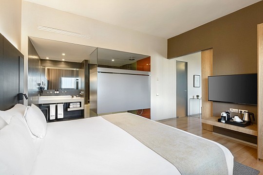 Hotel Barcelo Valencia (4)