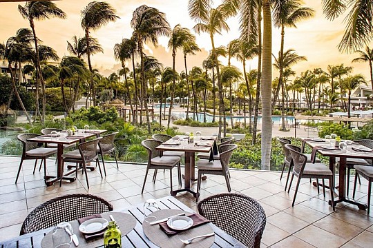 Hilton Aruba Caribbean Resort & Casino (2)