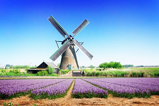 Holandsko - s květinovým korzem a ubytováním v Rotterdamu