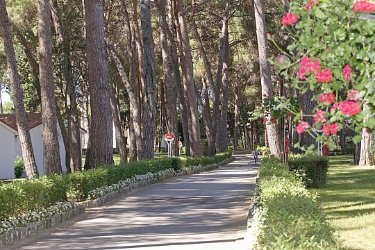 Villa Galijot Plava Laguna (5)