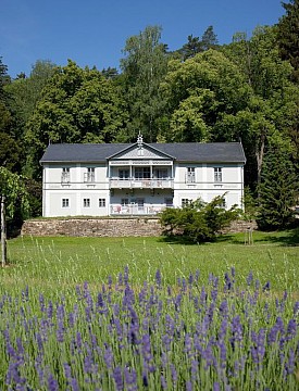 Vila pod Lipami: Prodloužený víkend 3 noci