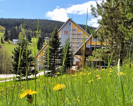 Pinia hotel Resort: Pobyt v hotelu