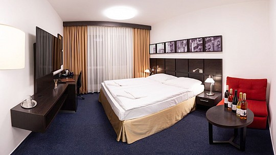 Hotel Kamzík: Wellness pobyt od min. 2 nocí (20)