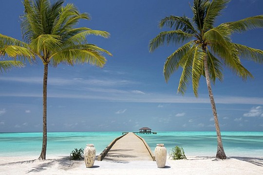 Atmosphere Kanifushi Maldives (3)
