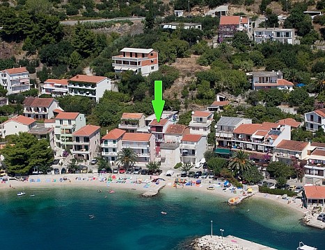 Studia DRAŽENA