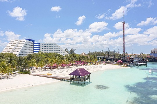 OASIS PALM (3)