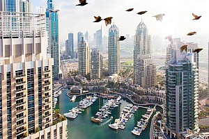 Dusit Princess Residence Dubai Marina