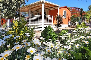 Camping Park Soline