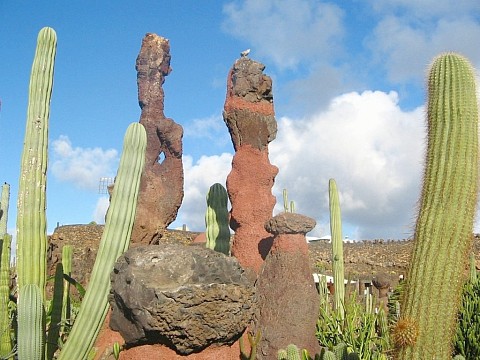 Barevné Lanzarote, Fuerteventura a Graciosa