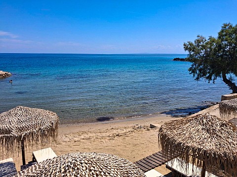 Golden Coast Suites (4)