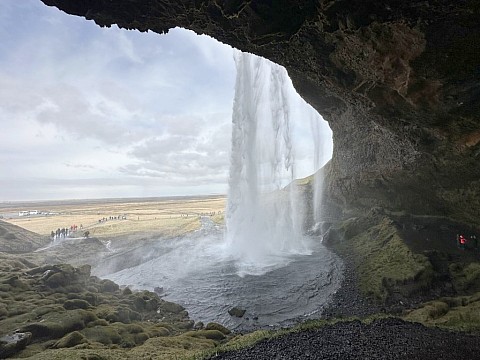 Islandský pozdrav (4)