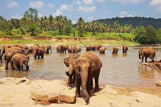 Srí Lanka - plná zážitkov (5)
