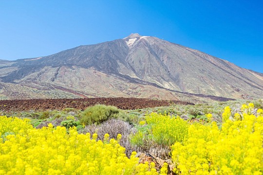 To najlepšie z Tenerife - zelený sever a slnečný juh (2)