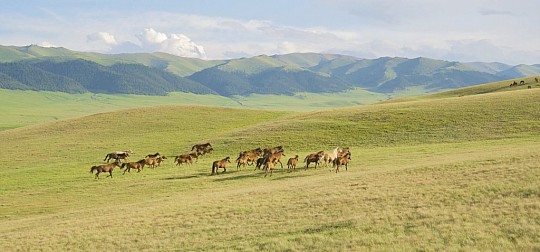 Kazachstan - po stopách nomádskych kmeňov (2)
