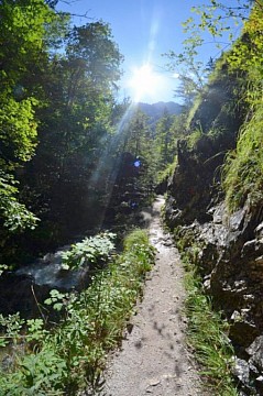 Vodopády Palfau A Dřevěná Vodní Stezka V Údolí Řeky Mendling - Jednodenní Zájezd (5)