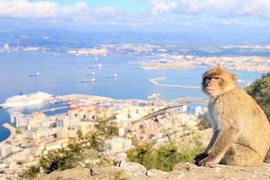 Španělsko - Andalusie, Gibraltar (5)