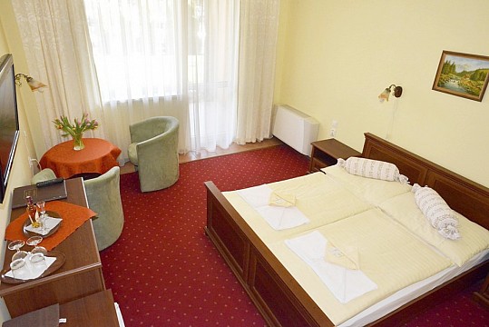 Hotel Elenka (5)