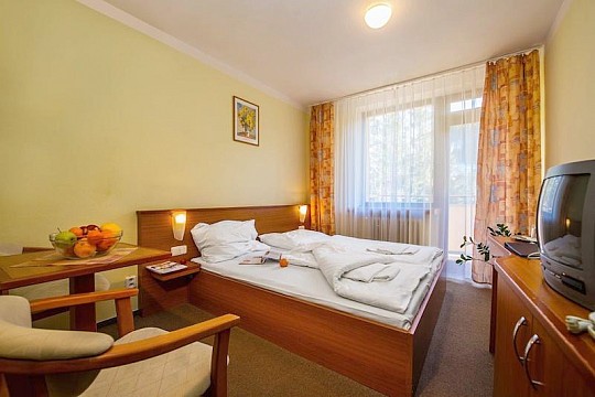 HOTEL SNP - Rekreační pobyt - Demänovská Dolina (2)