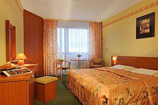 HOTEL HUTNÍK I - Rekreační pobyt - Tatranské Matliare (2)