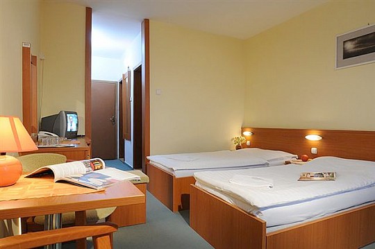 HOTEL HUTNÍK I - Rekreační pobyt - Tatranské Matliare (3)