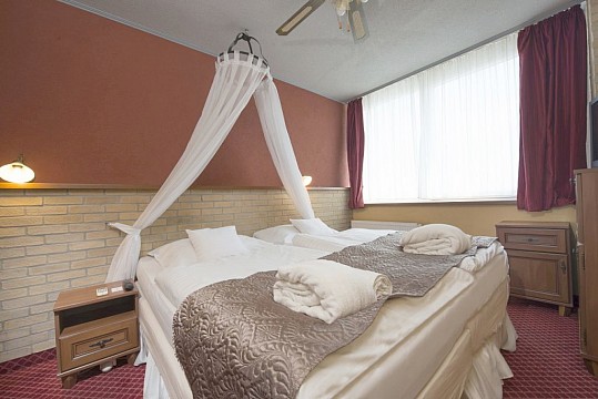 HOTEL THERMA - Relax pobyt All inclusive - Dunajská Streda (3)