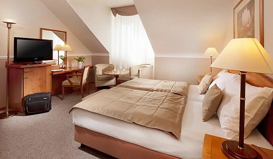 LÁZEŇSKÝ HOTEL DR. ADLER - Lázeňská dovolená - pokoje Standard a Komfort - Františkovy Lázně (3)