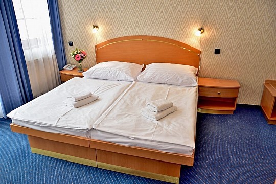 SPA HOTEL RŮŽE - Léčebný pobyt s plnou penzí 7 nocí - Karlovy Vary (5)