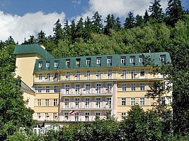 Ensana Lázeňský Hotel Vltava