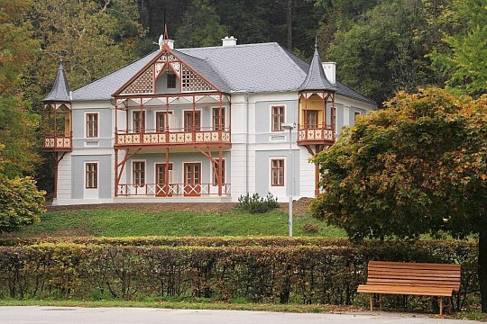 HOTEL VILA ALPSKÁ RŮŽE - Adventní lázeňská kúra