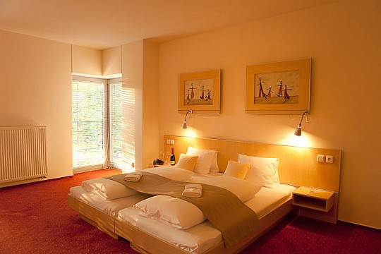 SPA HOTEL FELICITAS - Relaxační pobyt WELLNESS V TÝDNU - Poděbrady (5)