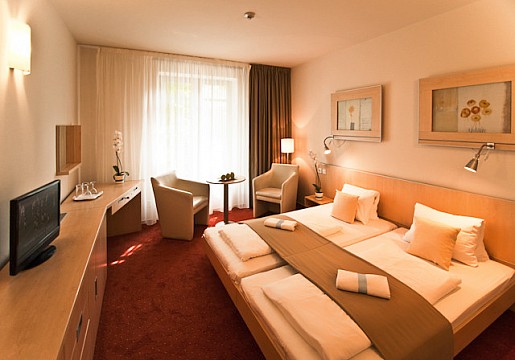 SPA HOTEL FELICITAS - Relaxační pobyt SPA ANTISTRESS - Poděbrady (3)