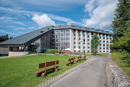 WELLNESS HOTEL SVORNOST - Akce 4= ( zdarma) - Harrachov