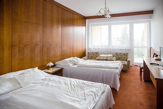 LÁZEŇSKÝ A WELLNESS HOTEL NIVAMARE - Víkendové wellness pohlazení 2 noci - Luhačovice (3)