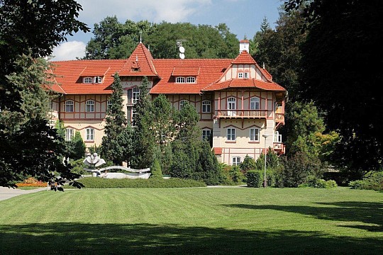 HOTEL JESTŘÁBÍ LUHAČOVICE - Adventní lázeňská kúra